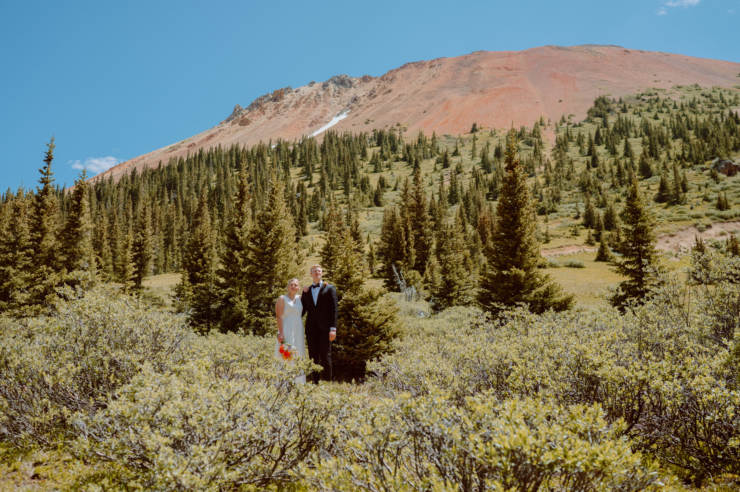 Couple in wedding attire standing in a high-alpine meadow in Ouray, Colorado, with pine trees and a red mountain slope in the background.